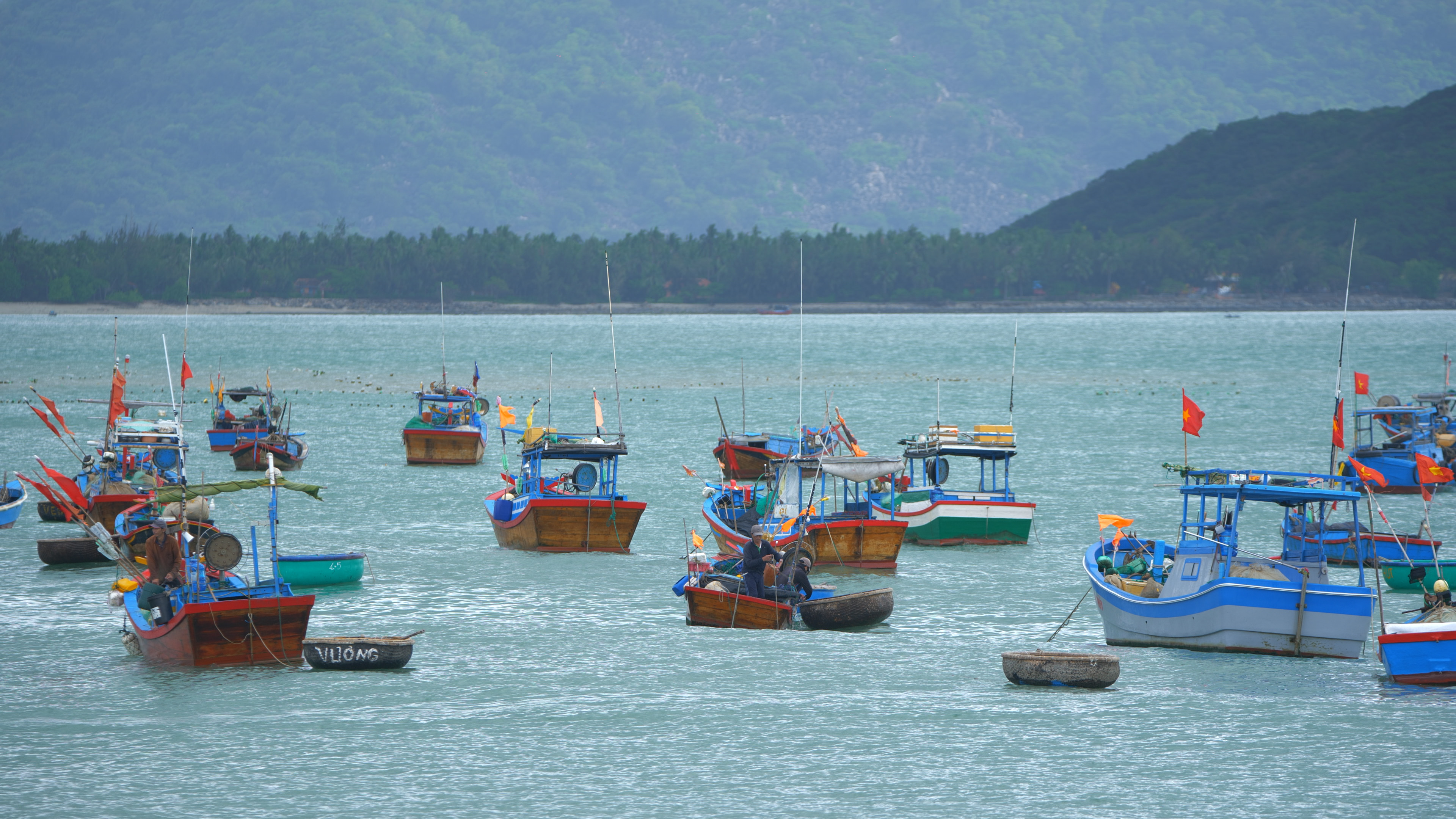 Tàu thuyền